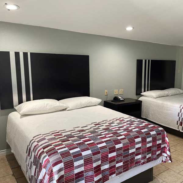 Safari Inn Motel 2 Bed Room