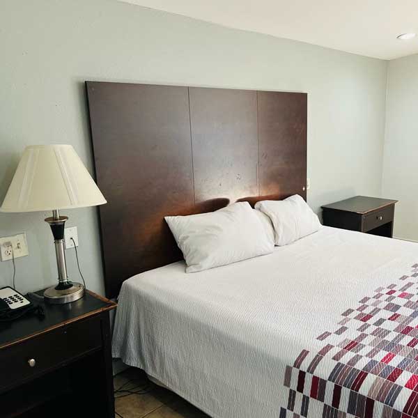 Safari Inn Motel 1 Bed Room